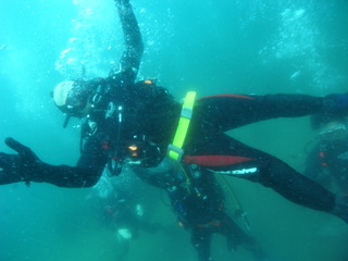 M0017719