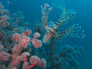P4140102