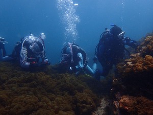P3300251