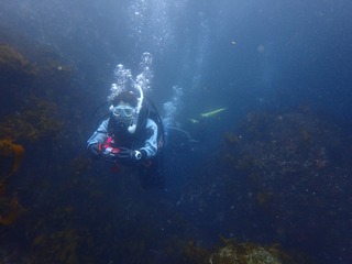 P3050069