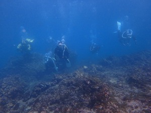 P2190075