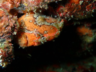 P1111166