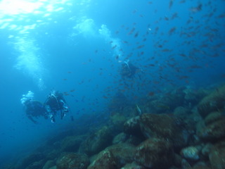 M0020069