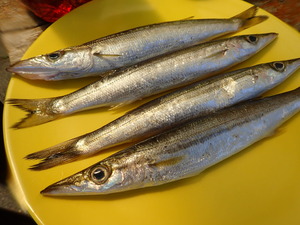P4300144
