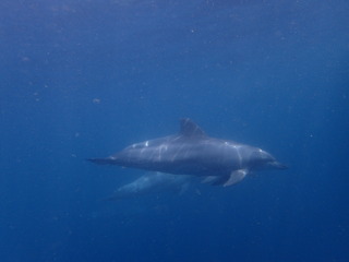P5230072