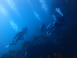 PC100138