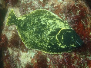 P4160130