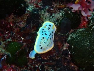 P4040568