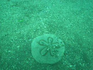 M0010062