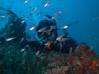 PB050118