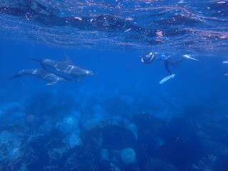 P9100929