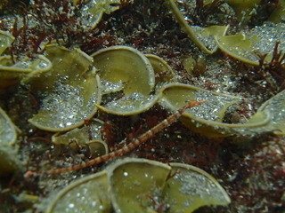 P3180027