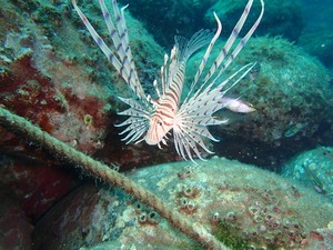 P6180018