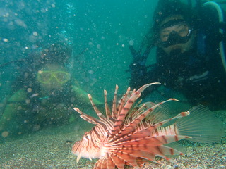 P6040189
