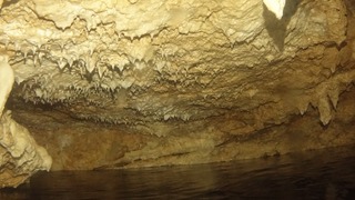 DSC07044