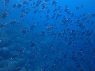 P9050571