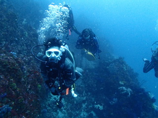 P5040091