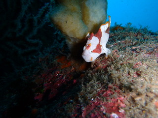 P1230068