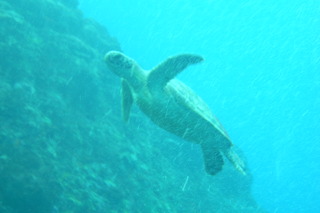 M0012328