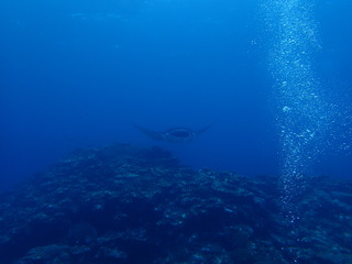 P6050511
