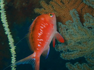 P2170160