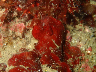 P4140070 2