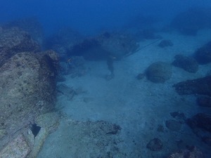 P1140005 (2)