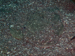 P4120463