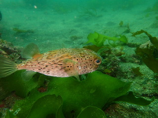 P5270093