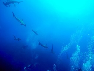 ハンマー近い
