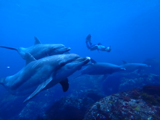 P6240253
