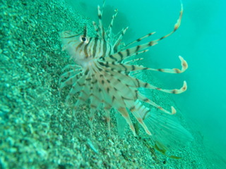 P5240115