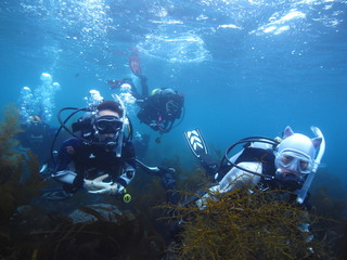 M0021439