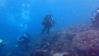 P3210327