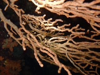 P2080965
