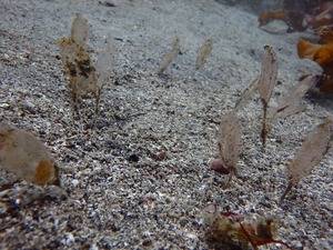 P6250079
