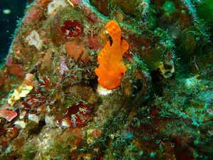 P1180008