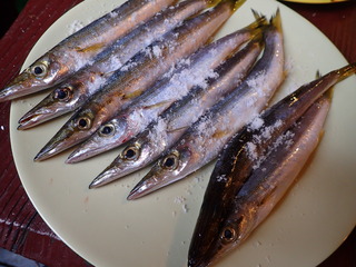 PB070053