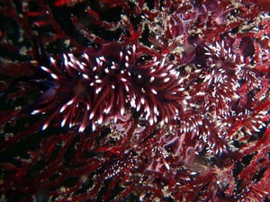 P3180167
