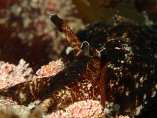 P3200206
