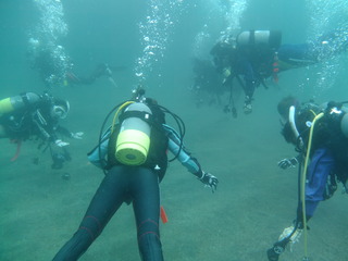 DSCF0870