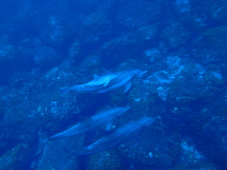 P6240321