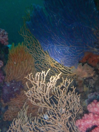 P2080995