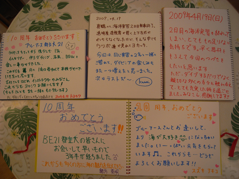 真鶴ダイビング感想