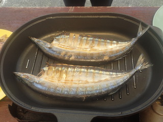 P5310043
