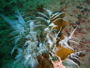 P4080033