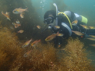 P7110075