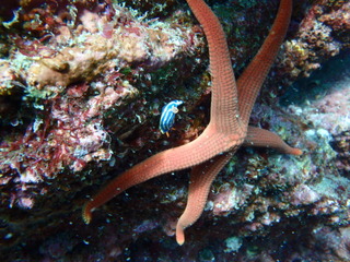P1110023