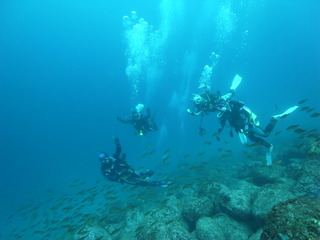M1055563