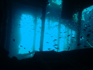 P7020319